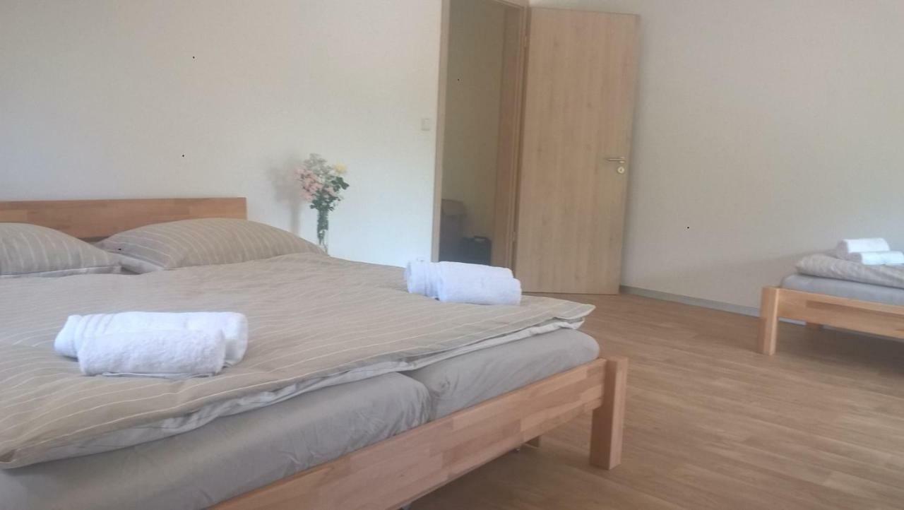 Apartman Nad Terasou Appartement Říčky Buitenkant foto